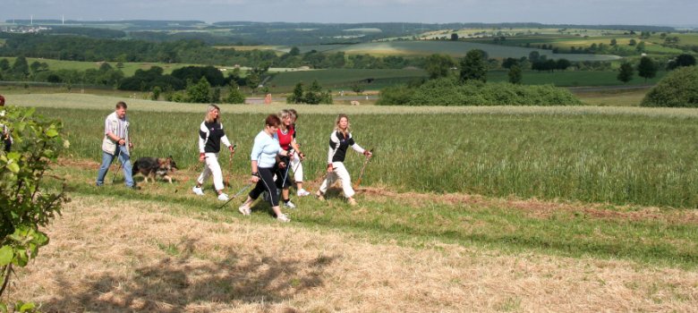 Gruppe beim Nordic Walking auf einem Feldweg