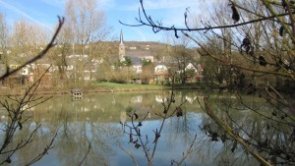 Landschaft - Trierweiler