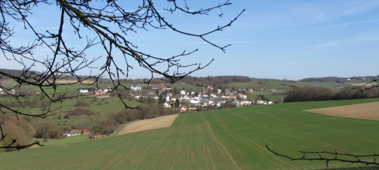 Landschaft von Udelfangen